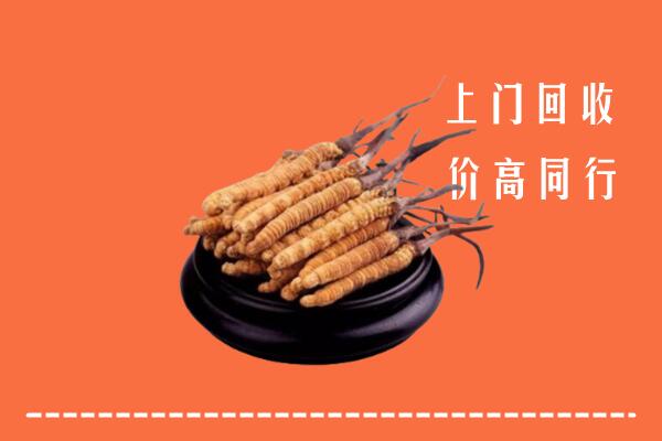 高价求购：沿河县回收散虫草