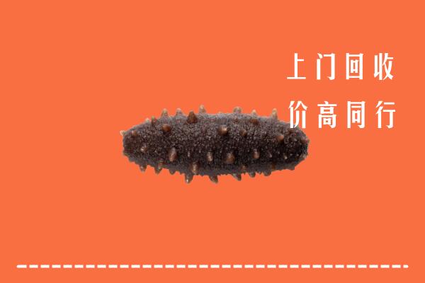 高价求购：沿河县回收海参